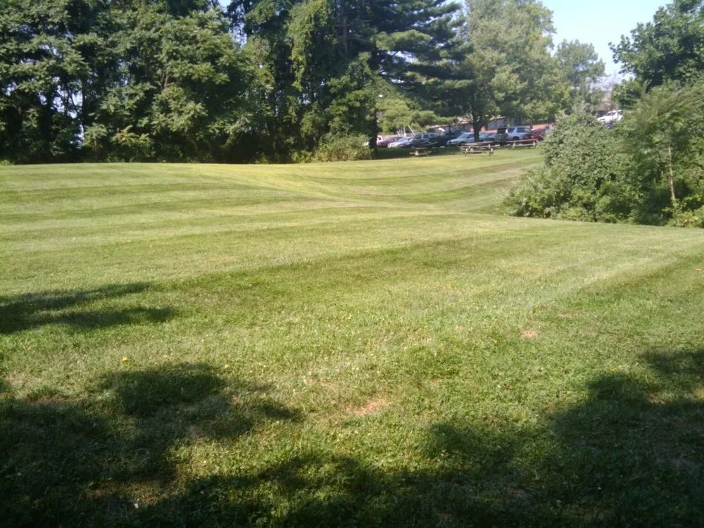 Trusted yard maintenance for year-round maintenance in Glen Burnie, MD by Geo Contractors