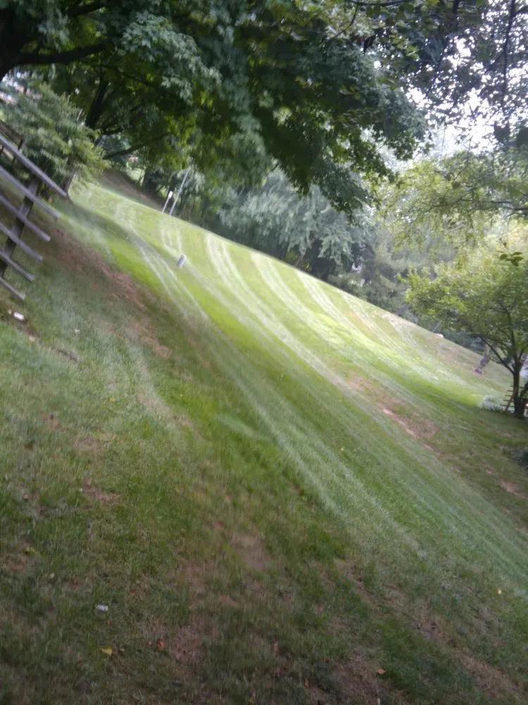 Top-rated residential landscaping for beautiful yards in Glen Burnie, MD by Geo Contractors