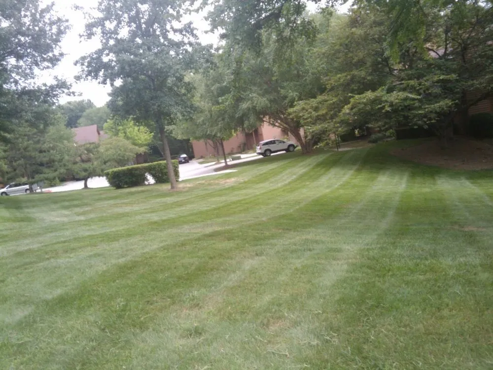 Top-rated yard maintenance for beautiful yards in Glen Burnie, MD by Geo Contractors
