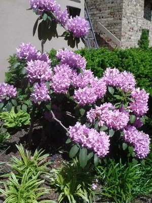 Geo Contractors Logo