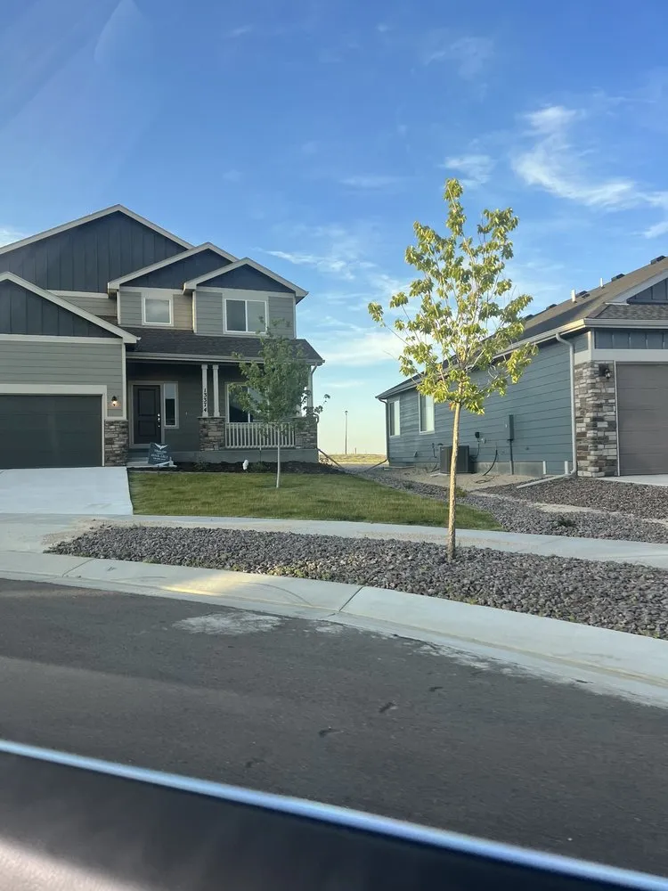 Trusted yard cleanup service with custom design across Colorado Springs, CO - Geo Green Landscaping