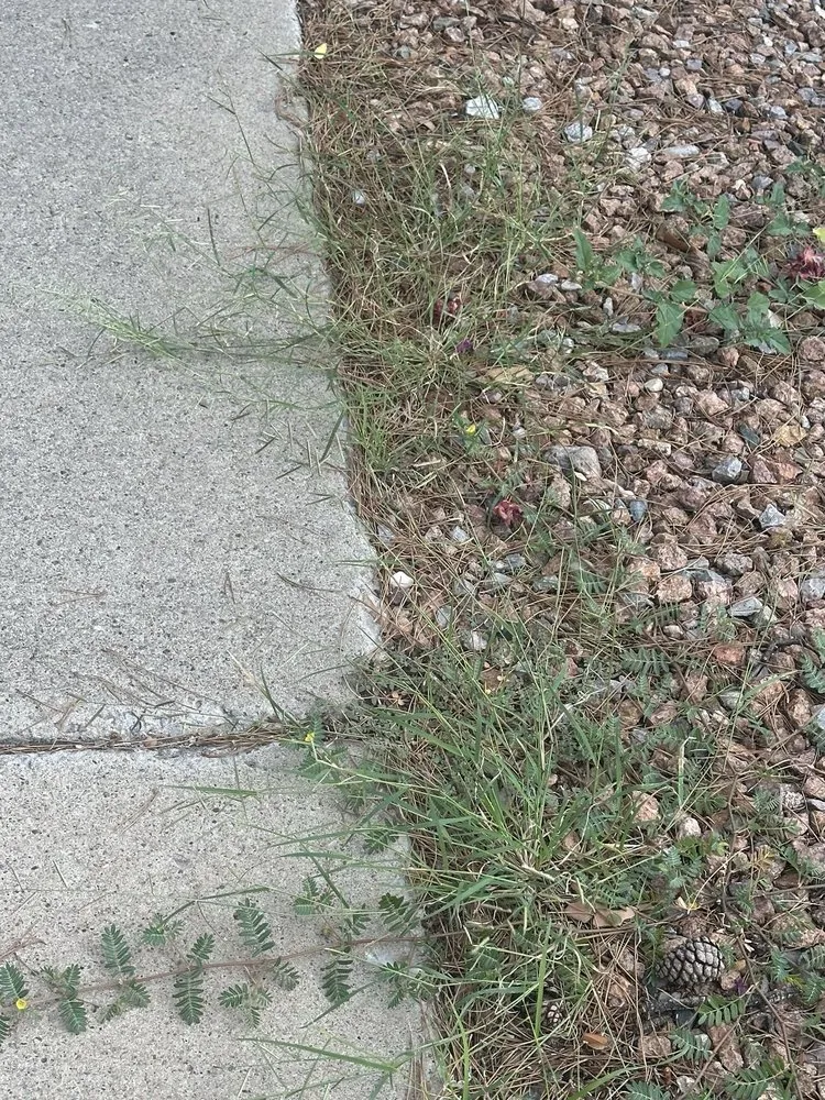 Reliable outdoor landscaping with custom design across Las Cruces, NM - Geo N Leo's Landscaping