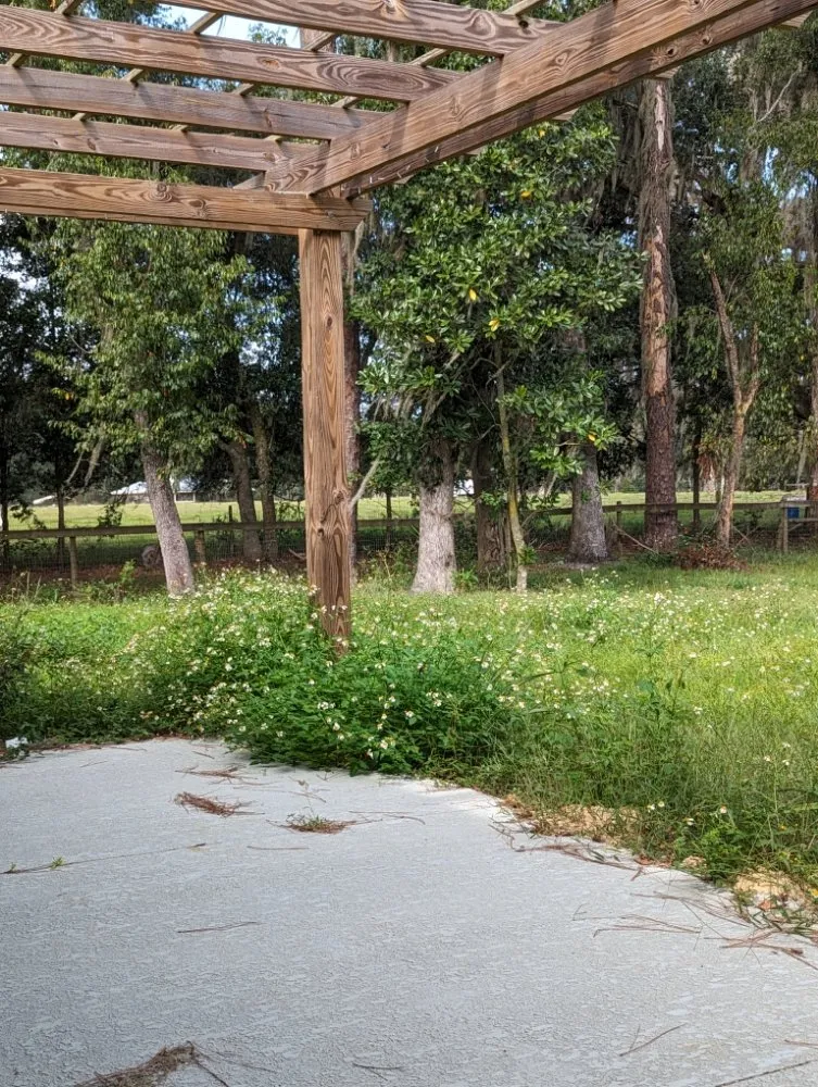 Custom landscaping services experts serving Alachua, FL - Geo Property Solutions