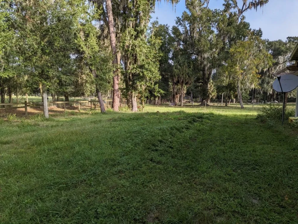 Reliable yard maintenance for year-round maintenance in Alachua, FL by Geo Property Solutions