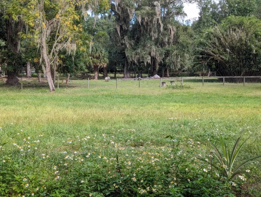 Custom outdoor landscaping for outdoor upgrades across Alachua, FL - Geo Property Solutions