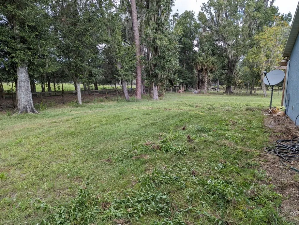 Top-rated yard maintenance for outdoor upgrades across Alachua, FL - Geo Property Solutions