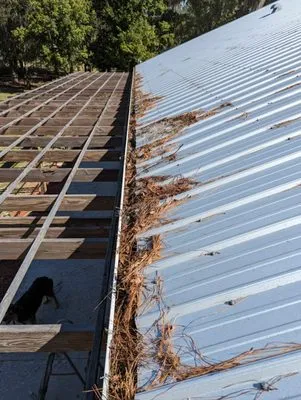 Geo Property Solutions Logo