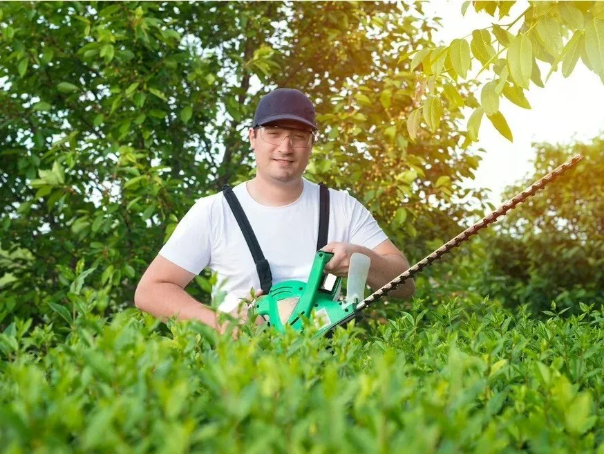 Custom yard maintenance for residential properties across Minneapolis, MN - Geo Tree Service