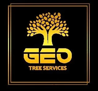 Affordable outdoor landscaping for year-round maintenance across Minneapolis, MN - Geo Tree Service
