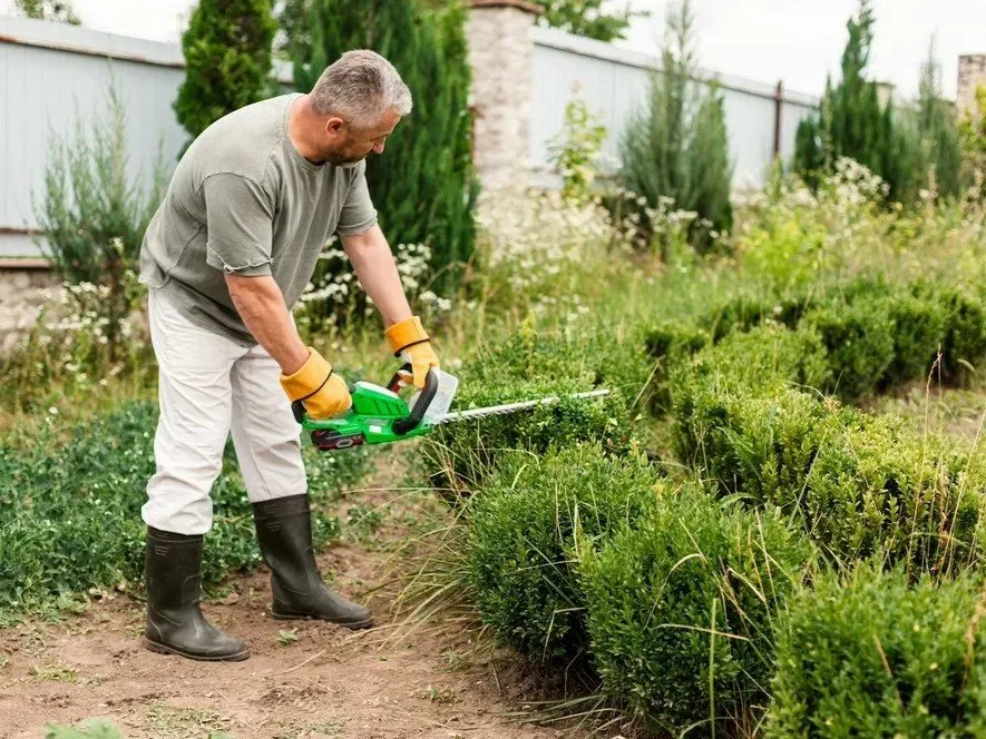 Custom yard cleanup service in Minneapolis, MN - Geo Tree Service