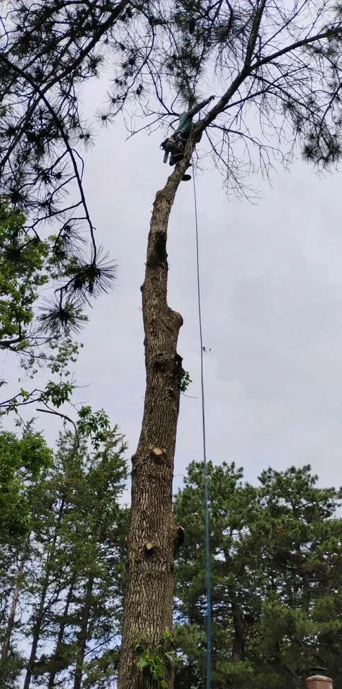 Trusted garden landscaping for outdoor upgrades in Minneapolis, MN by Geo Tree Service