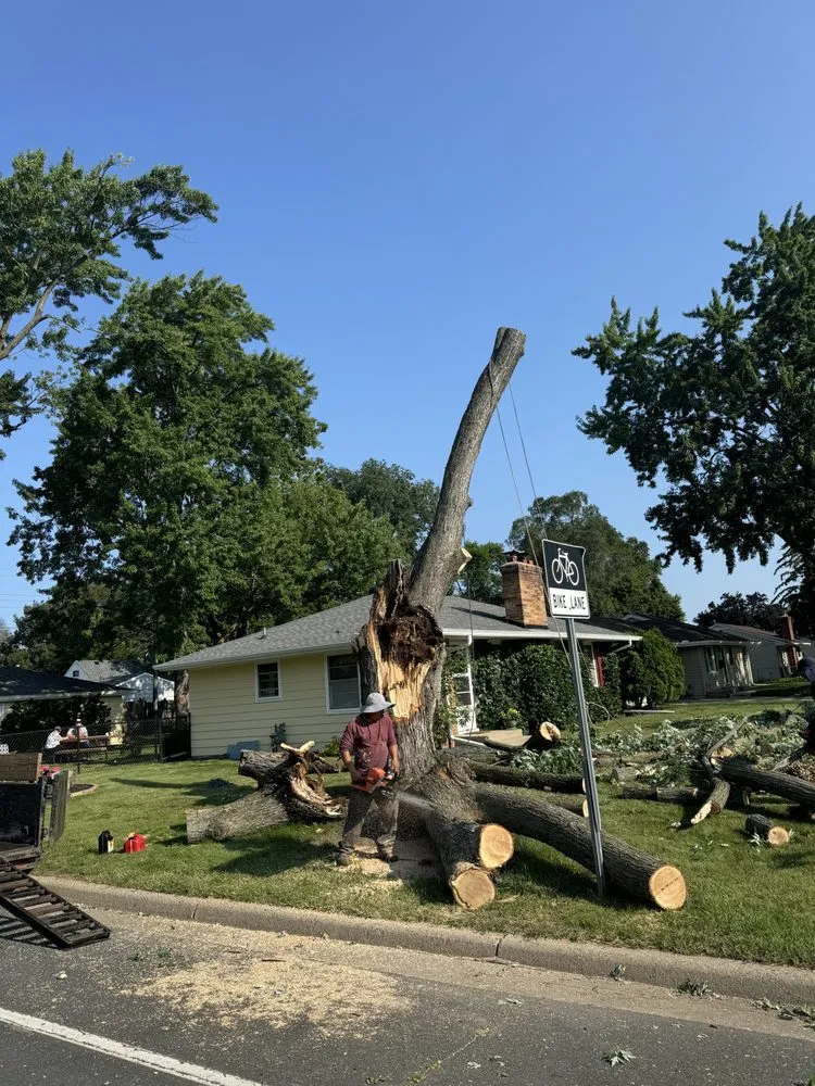 Custom landscaping services in Minneapolis, MN by Geo Tree Service