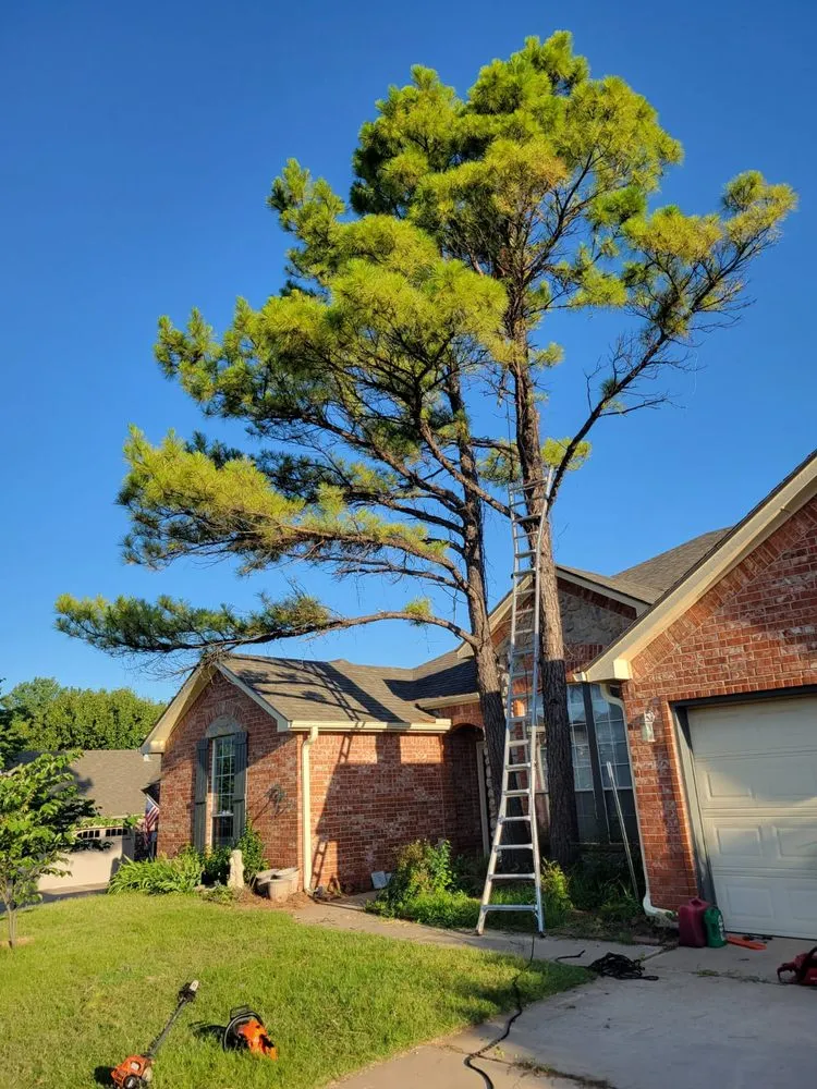 Affordable landscaping services for outdoor upgrades in Norman, OK by Geo Trees Service