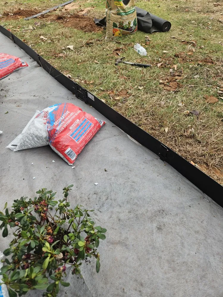 Local yard cleanup service in Norman, OK by Geo Trees Service