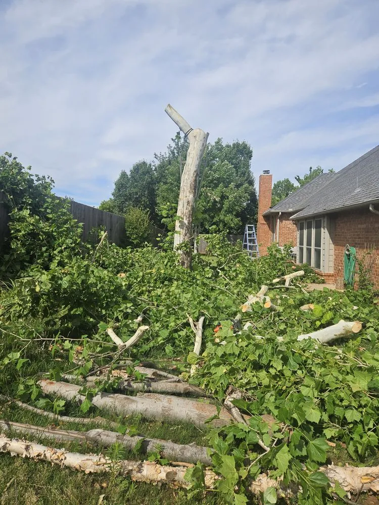 Custom landscape design in Norman, OK - Geo Trees Service