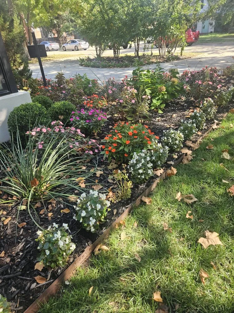 Professional yard maintenance for outdoor upgrades across Norman, OK - Geo Trees Service