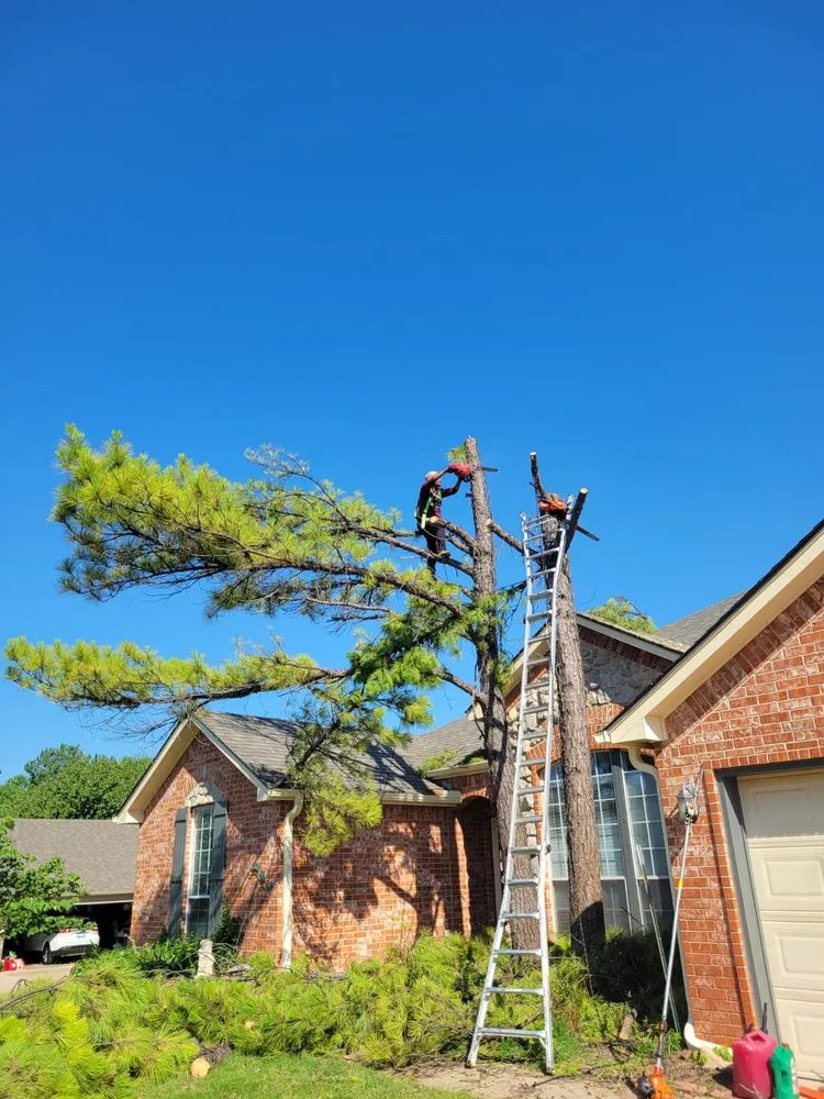 Expert landscaping services in Norman, OK by Geo Trees Service