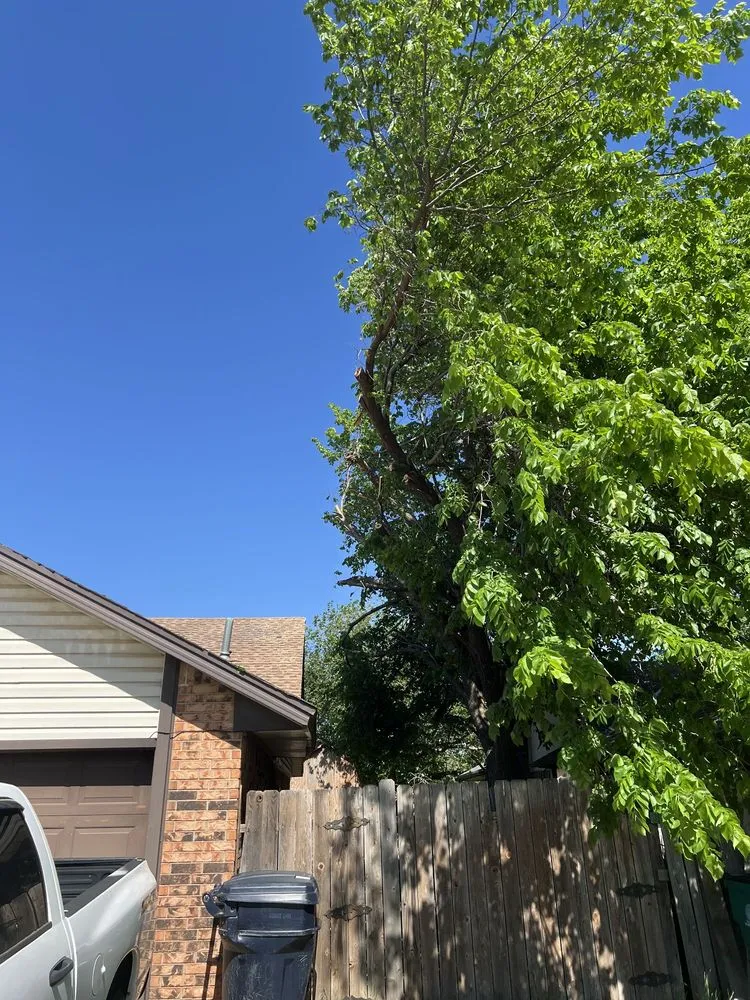 Top-rated landscape design in Norman, OK - Geo Trees Service