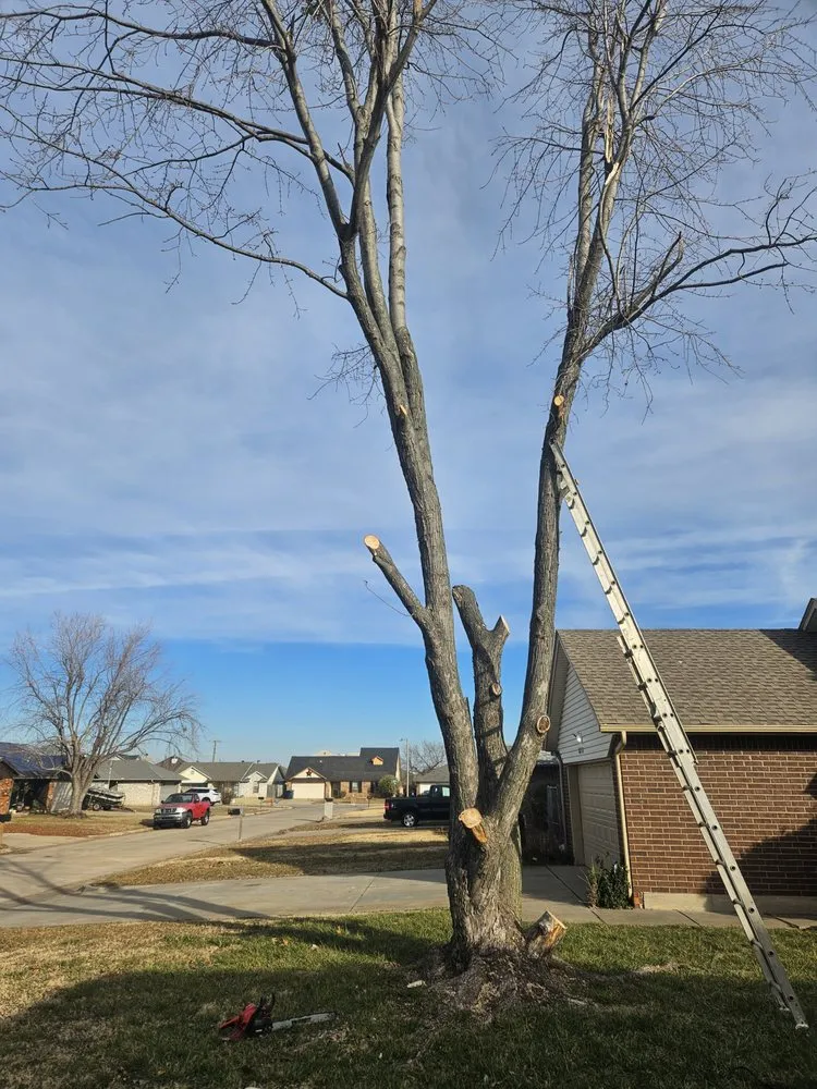 Professional landscaping services for outdoor upgrades in Norman, OK by Geo Trees Service