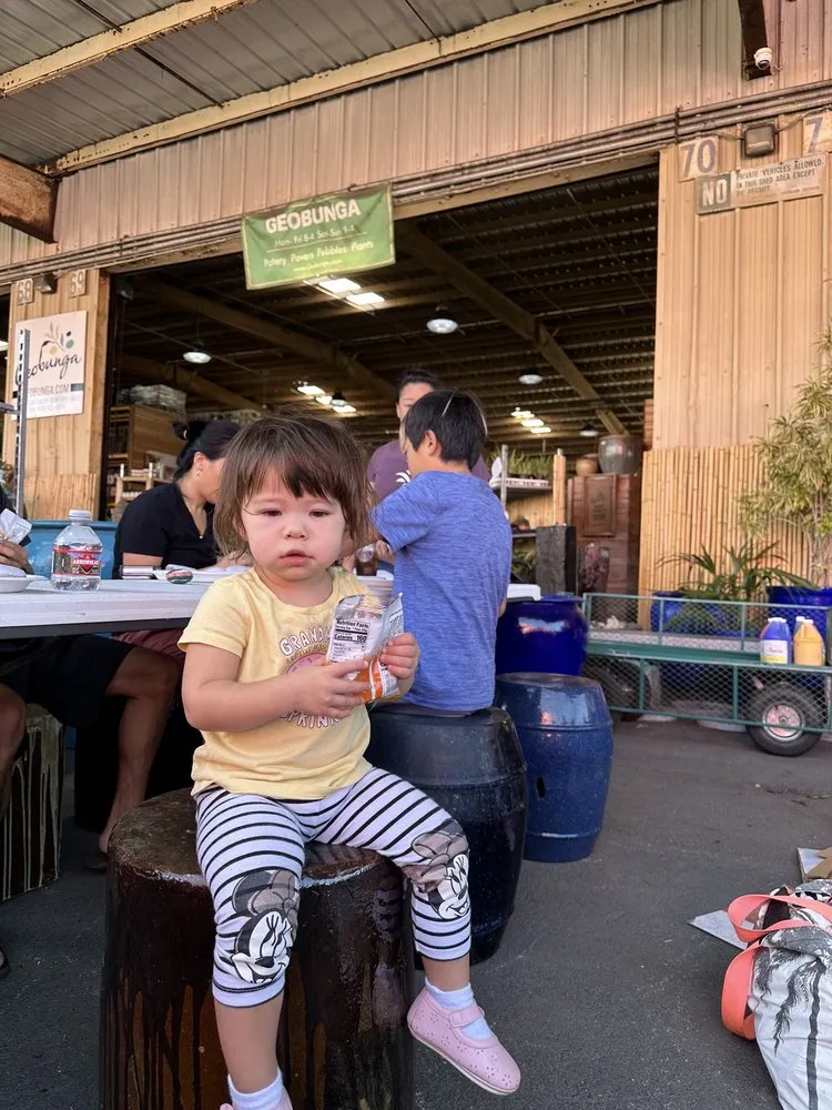 Custom landscape design in Aiea, HI by Geobunga