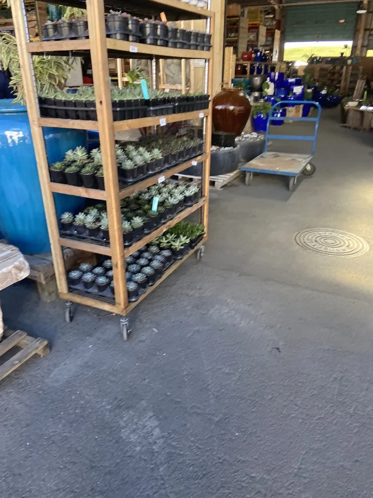 Professional outdoor landscaping for residential properties across Aiea, HI - Geobunga