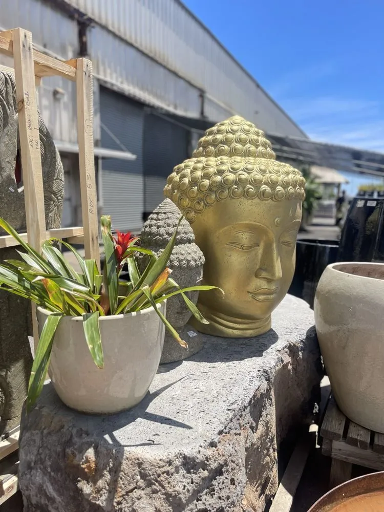 Professional yard cleanup service in Aiea, HI by Geobunga