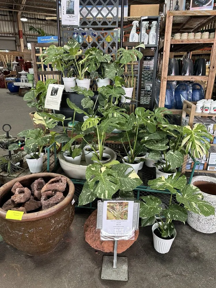 Expert residential landscaping experts serving Aiea, HI - Geobunga