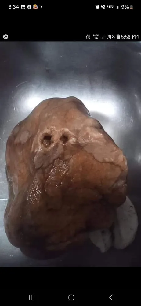 Custom yard cleanup service in Brownstown, IN by Geoeds and Naturals