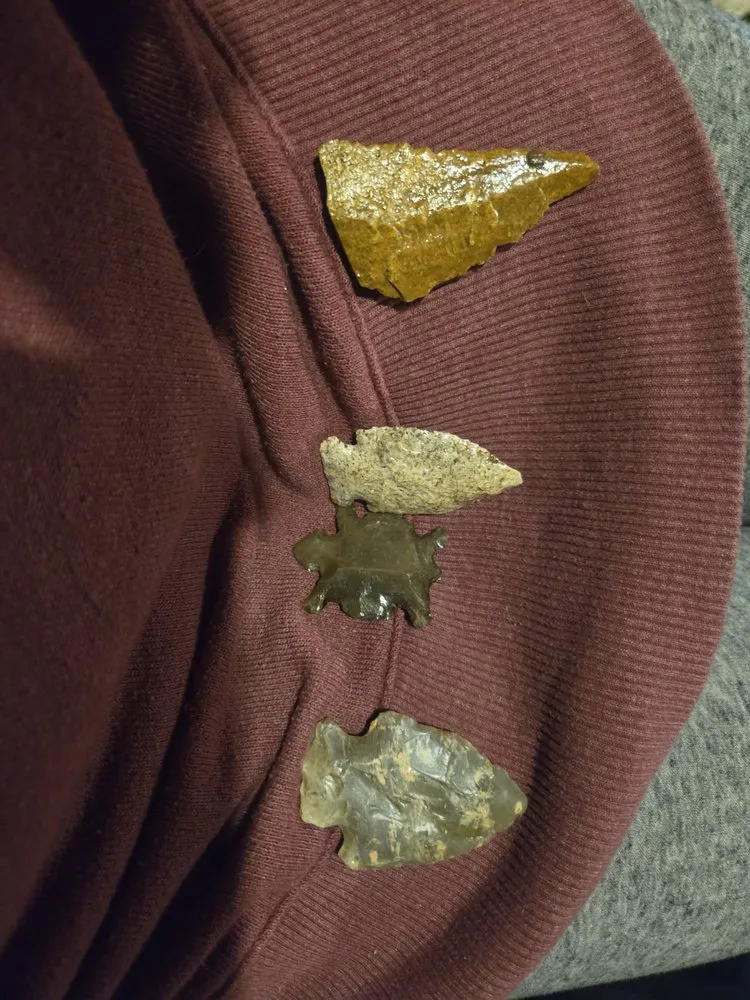 Expert landscaping services in Brownstown, IN - Geoeds and Naturals