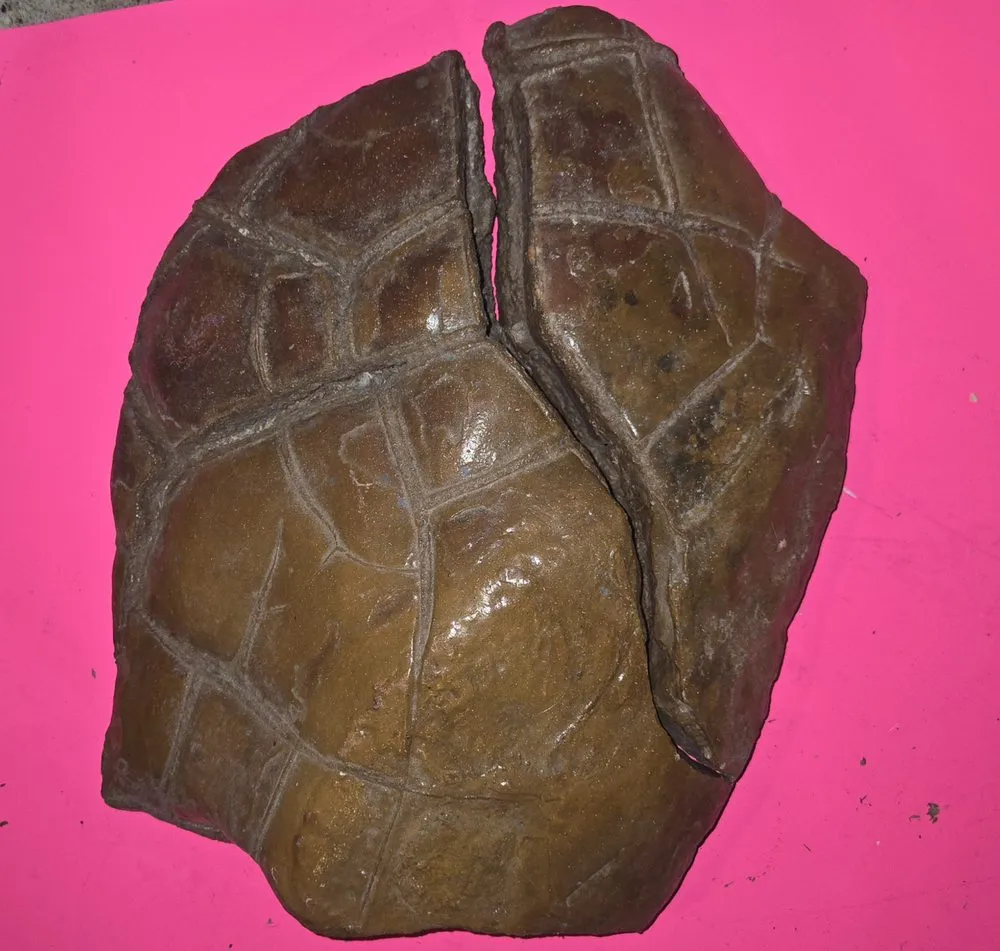 Affordable lawn care service in Brownstown, IN - Geoeds and Naturals