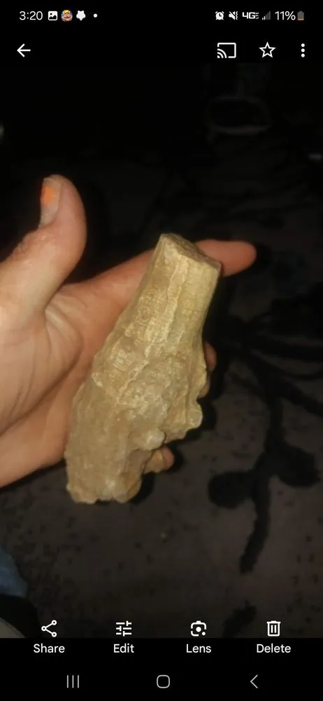 Reliable yard cleanup service experts serving Brownstown, IN - Geoeds and Naturals