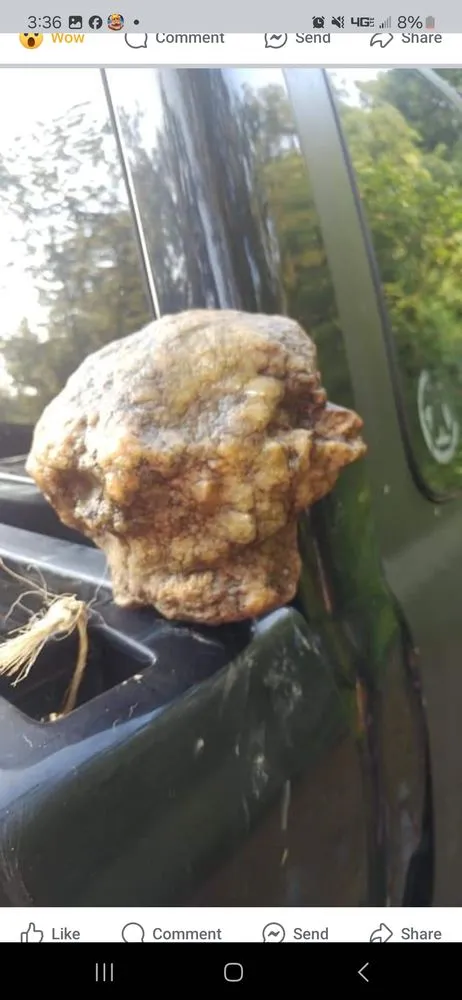 Top-rated landscape installation in Brownstown, IN by Geoeds and Naturals