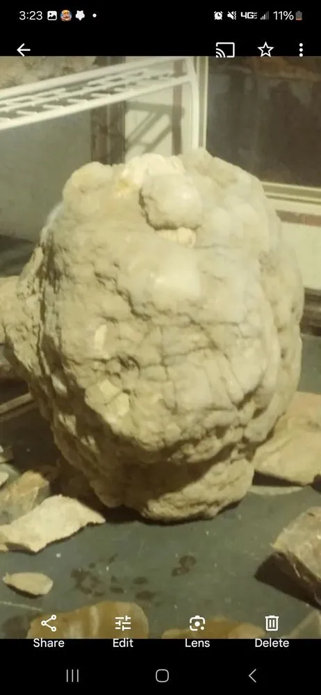 Top-rated lawn care service experts serving Brownstown, IN - Geoeds and Naturals