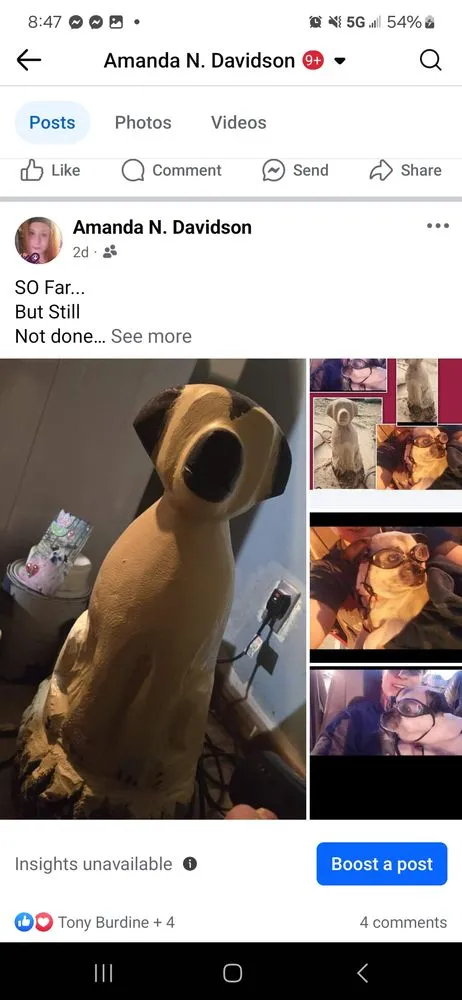 Custom residential landscaping in Brownstown, IN - Geoeds and Naturals