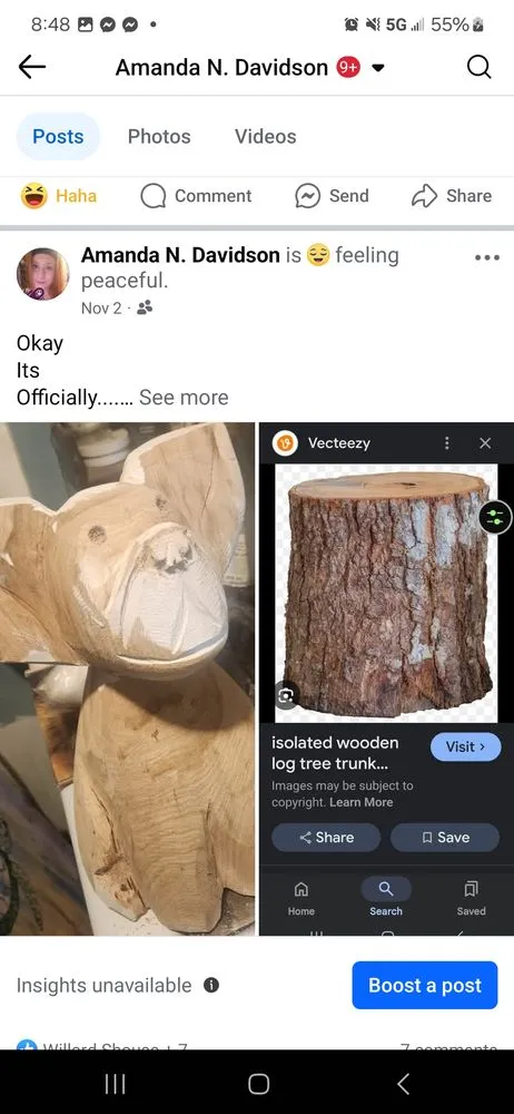 Reliable yard maintenance for year-round maintenance across Brownstown, IN - Geoeds and Naturals