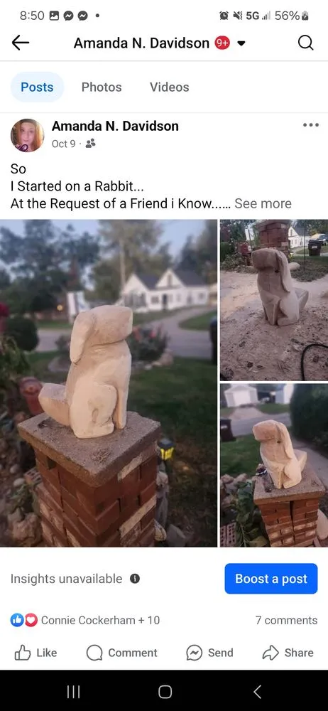 Professional lawn care service for outdoor upgrades across Brownstown, IN - Geoeds and Naturals