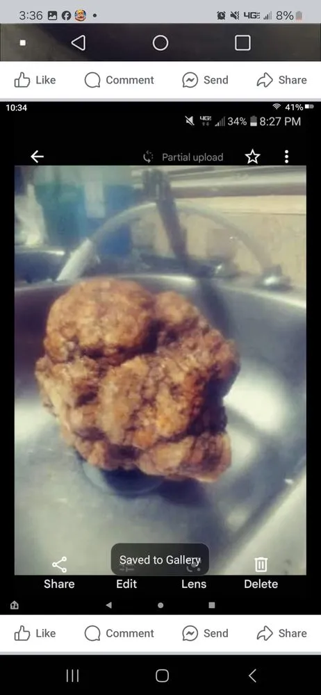 Affordable yard cleanup service for residential properties in Brownstown, IN by Geoeds and Naturals