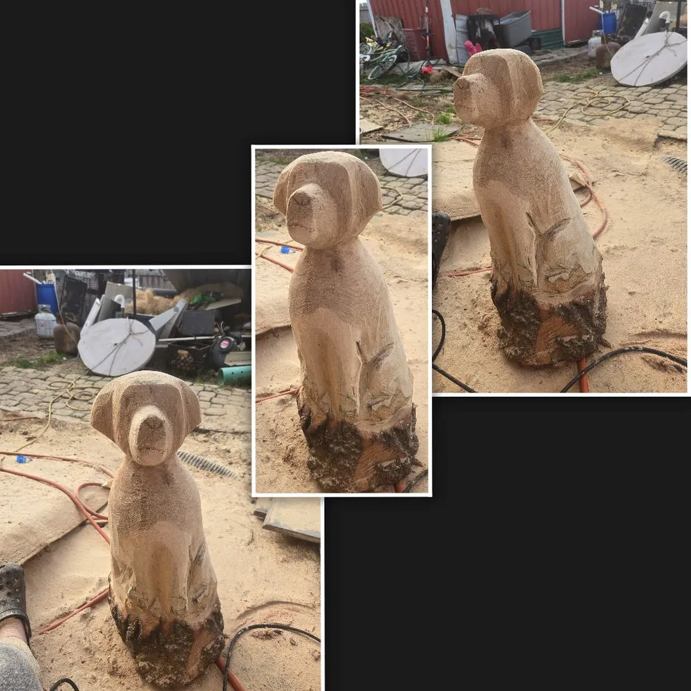 Trusted outdoor landscaping in Brownstown, IN by Geoeds and Naturals