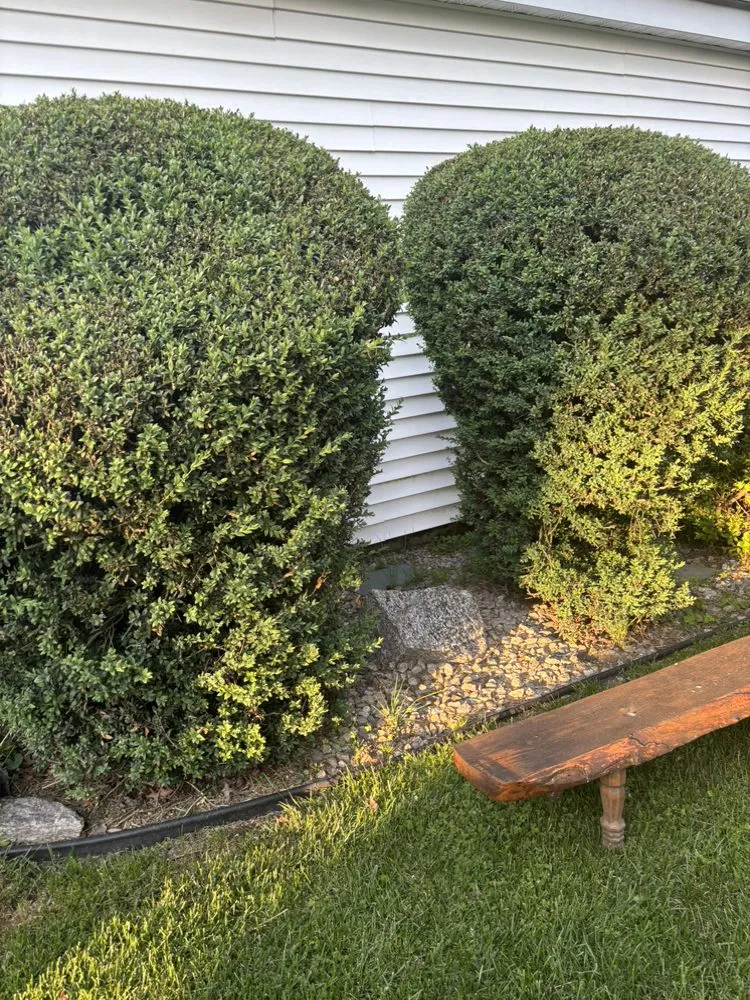 Top-rated landscape design in Warwick, RI - Geoff And Son Landscaping