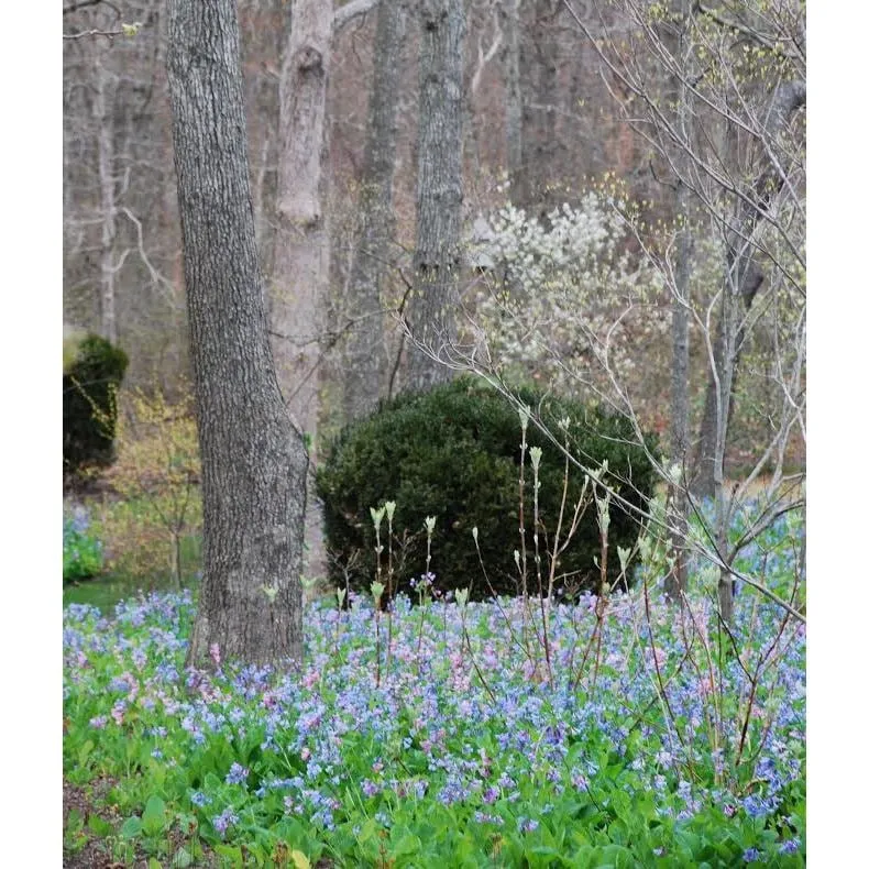 Affordable outdoor landscaping in East Hampton, NY - Geoffrey Nimmer Landscapes