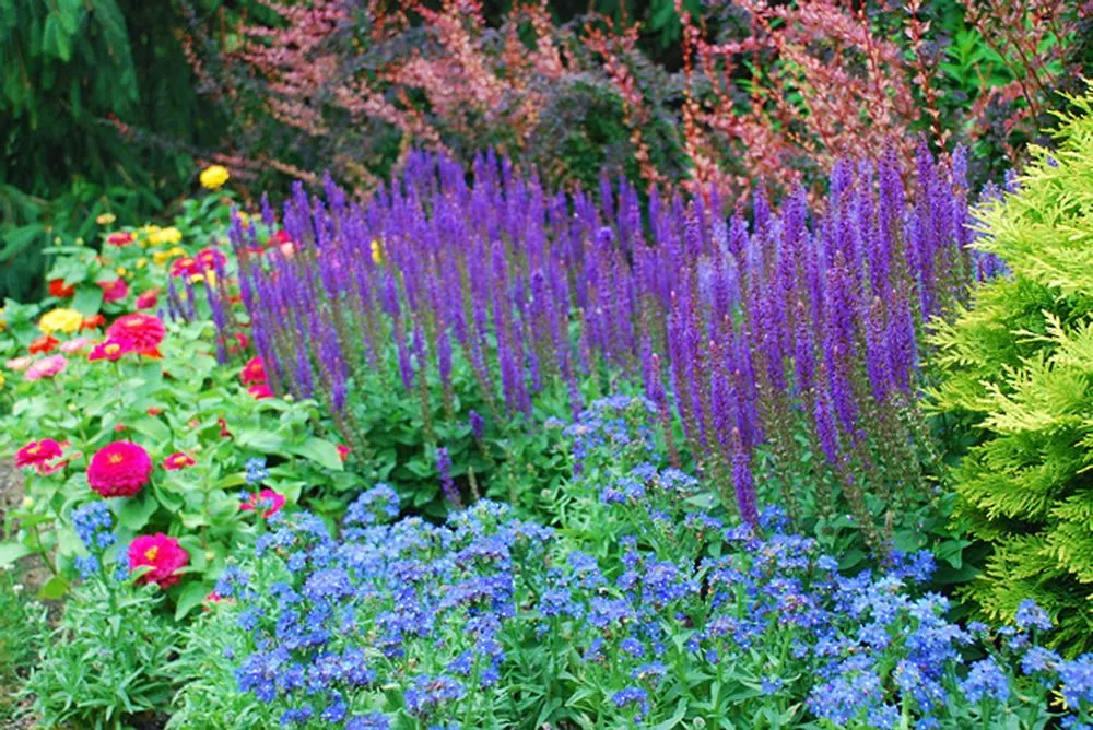 Reliable landscape design in East Hampton, NY - Geoffrey Nimmer Landscapes