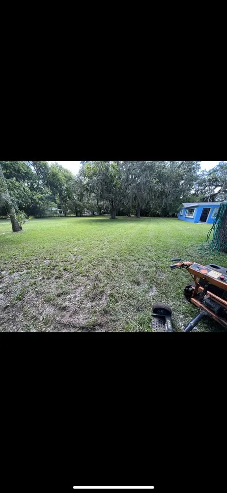 Reliable yard maintenance in Holly Hill, FL by geoffrey pace