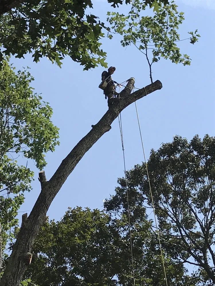 Professional residential landscaping near you across Fayetteville, GA - Geographically Landscaping & Concrete Services