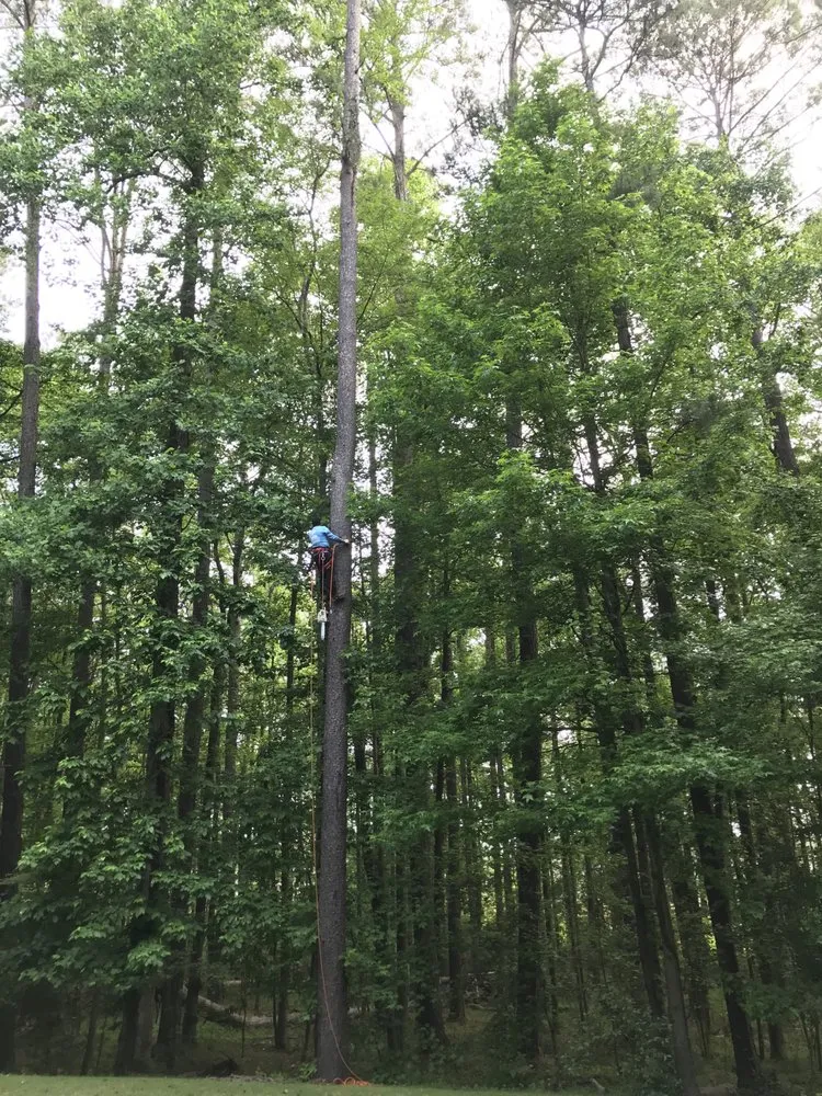 Trusted lawn mowing service with custom design in Fayetteville, GA by Geographically Landscaping & Concrete Services