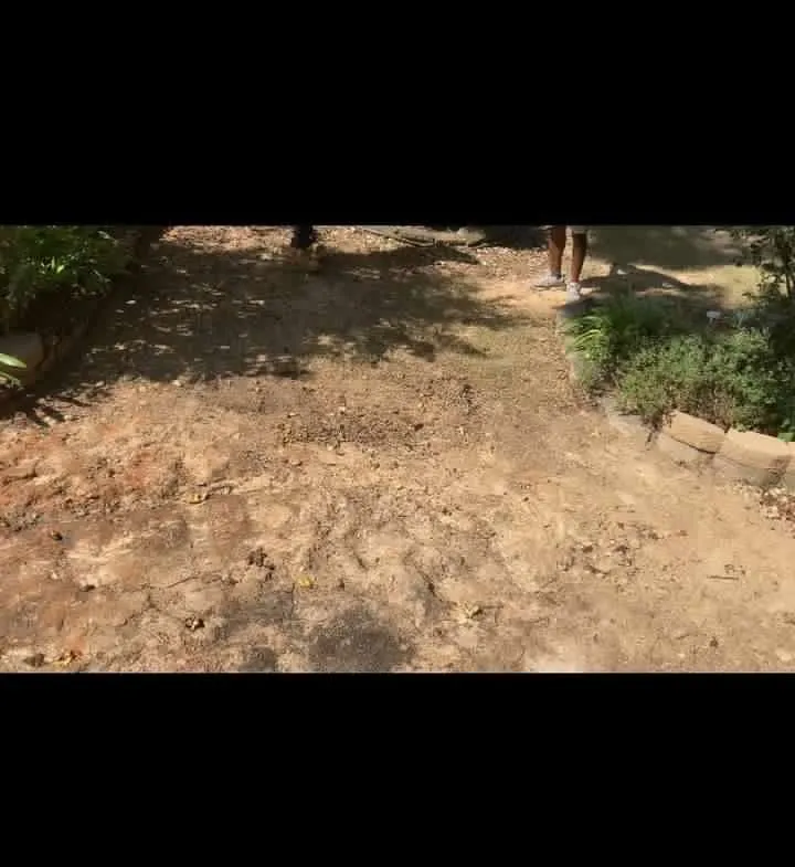 Top-rated lawn care service with custom design in Fayetteville, GA by Geographically Landscaping & Concrete Services