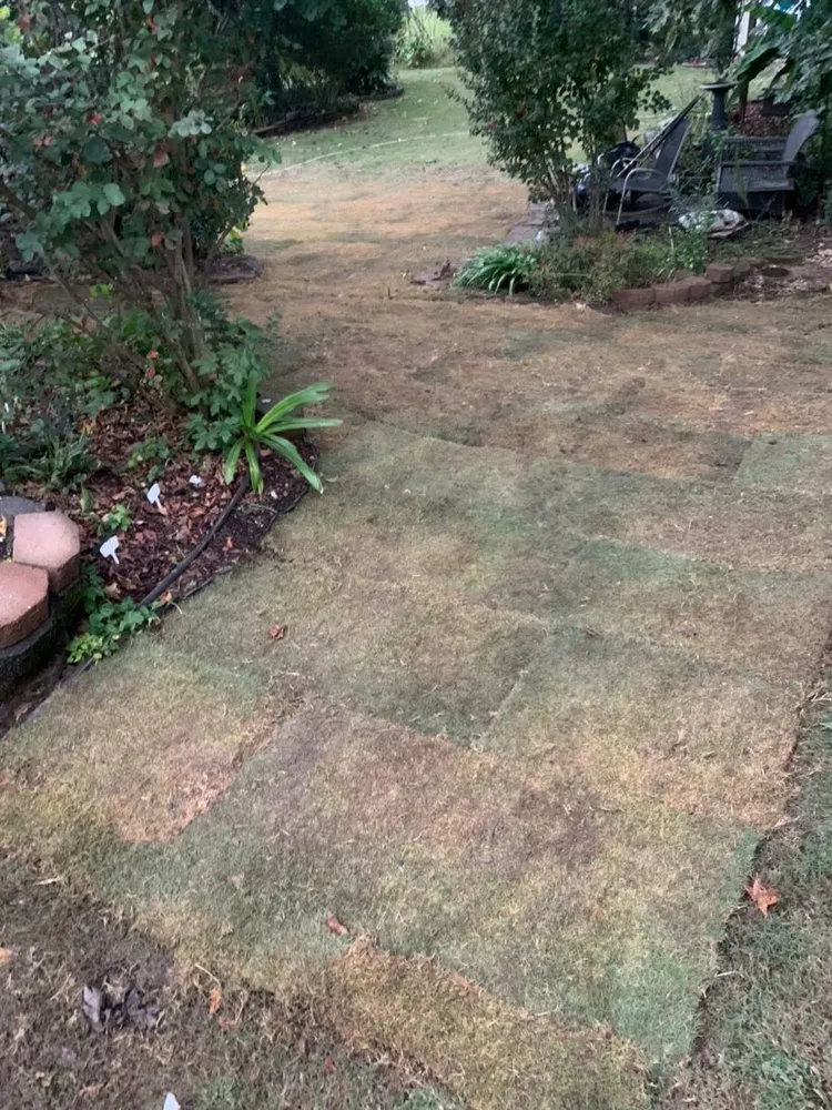 Expert lawn mowing service in Fayetteville, GA - Geographically Landscaping & Concrete Services