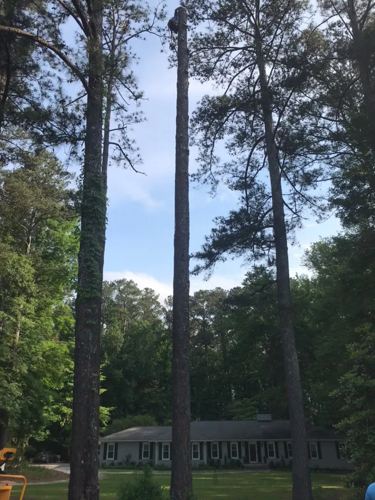 Affordable residential landscaping experts serving Fayetteville, GA - Geographically Landscaping & Concrete Services