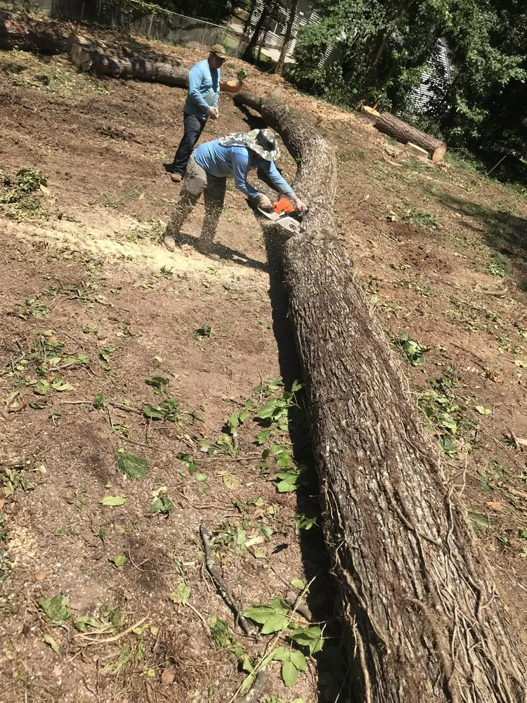 Top-rated yard cleanup service in Fayetteville, GA by Geographically Landscaping & Concrete Services