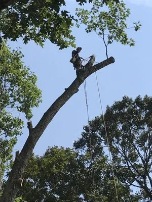 Geographically Landscaping & Concrete Services Logo