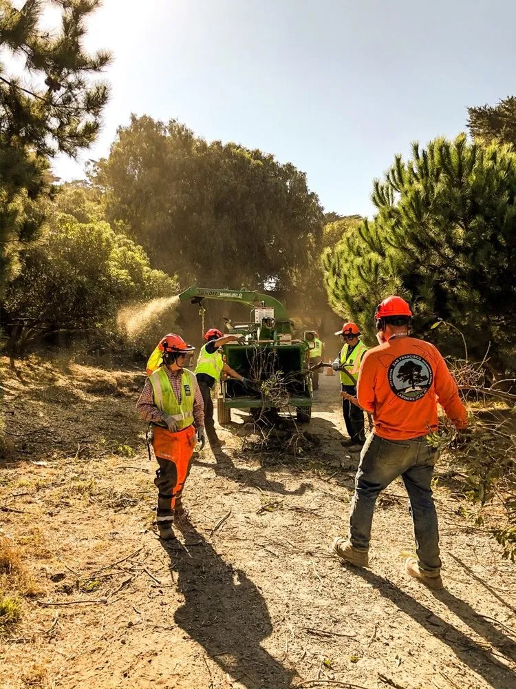 Reliable garden landscaping in San Francisco, CA - Geologic Landscapes